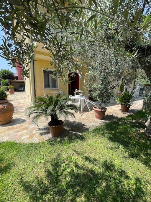 Casetta Mia - Holiday Family House SantʼArcangelo di Romagna Exterior foto