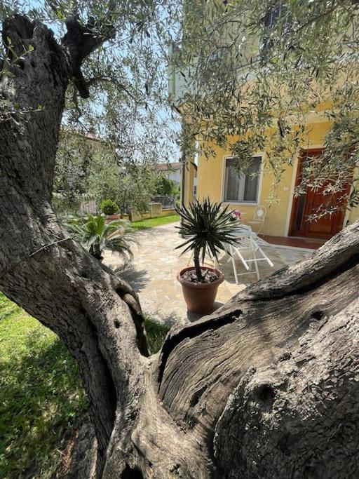 Casetta Mia - Holiday Family House SantʼArcangelo di Romagna Exterior foto