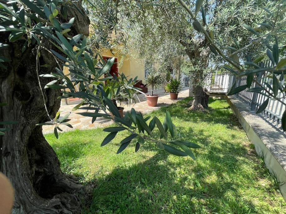 Casetta Mia - Holiday Family House SantʼArcangelo di Romagna Exterior foto